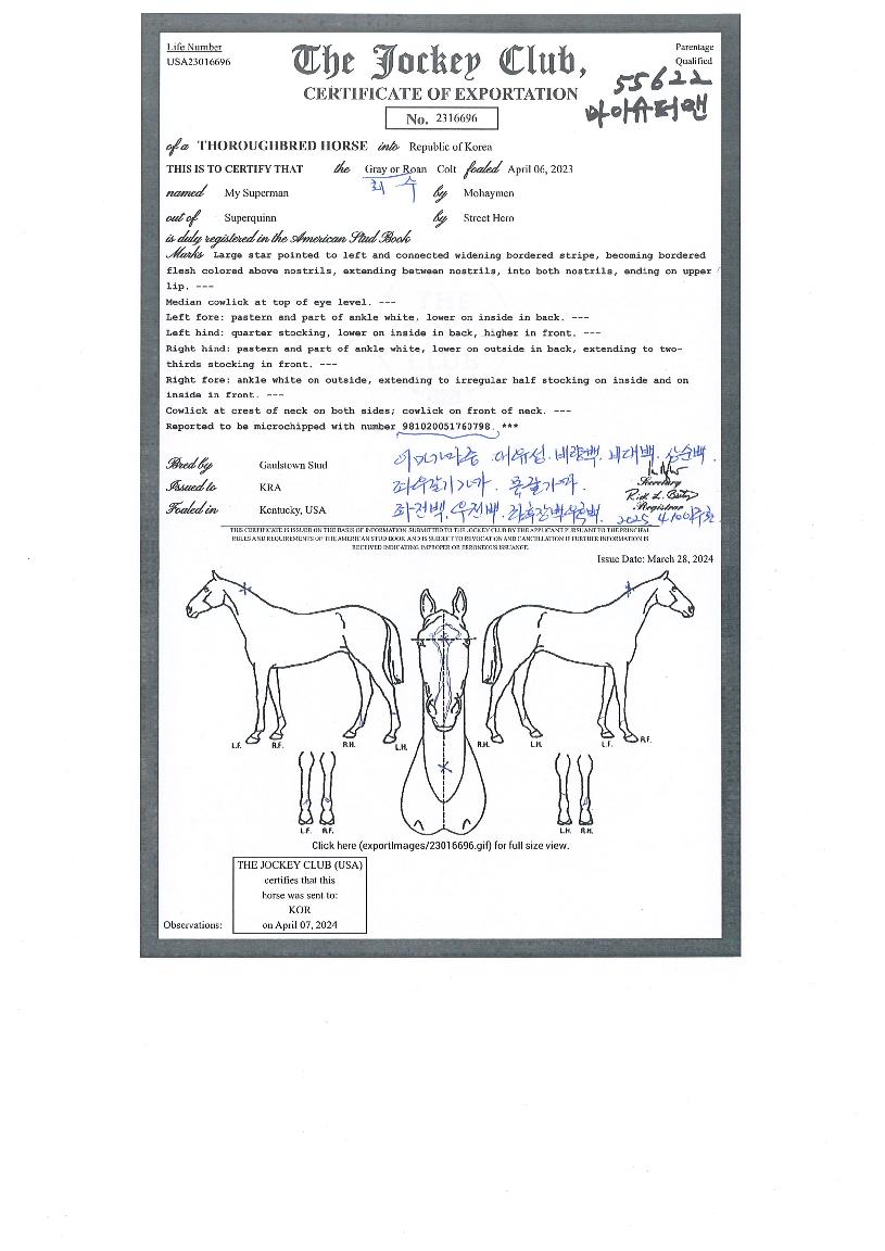 ���̽��۸��� ����,���,�޸�,�λ�,�ٸ��� Ư¡����