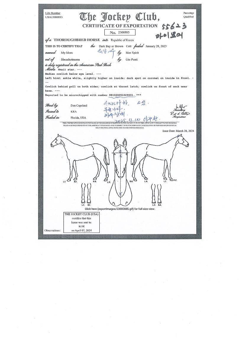 ���̸���� ����,���,�޸�,�λ�,�ٸ��� Ư¡����