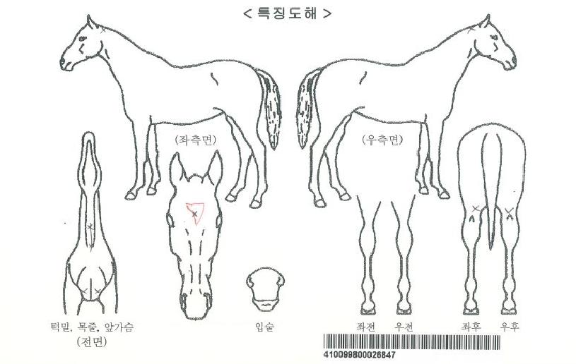 ��������ڸ��� ����,���,�޸�,�λ�,�ٸ��� Ư¡����