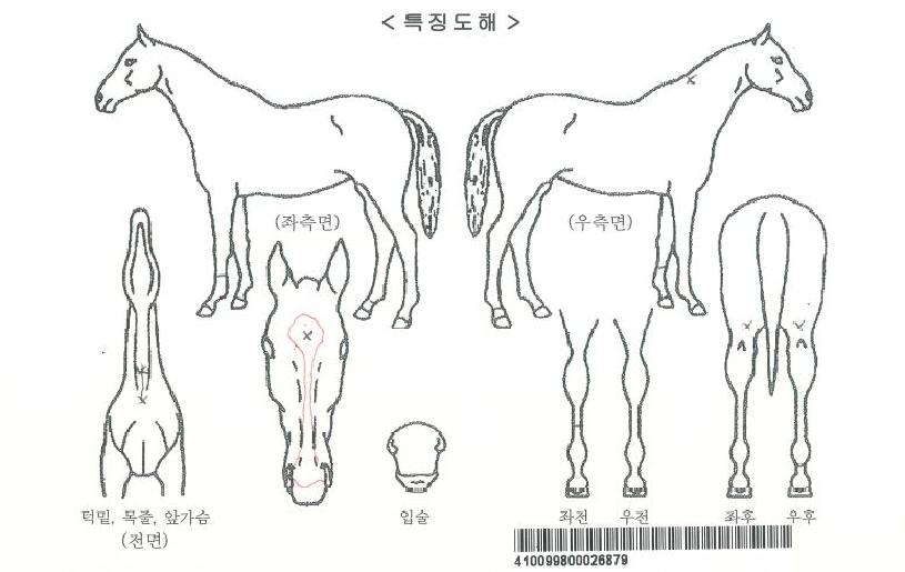 ������̽��ڸ��� ����,���,�޸�,�λ�,�ٸ��� Ư¡����