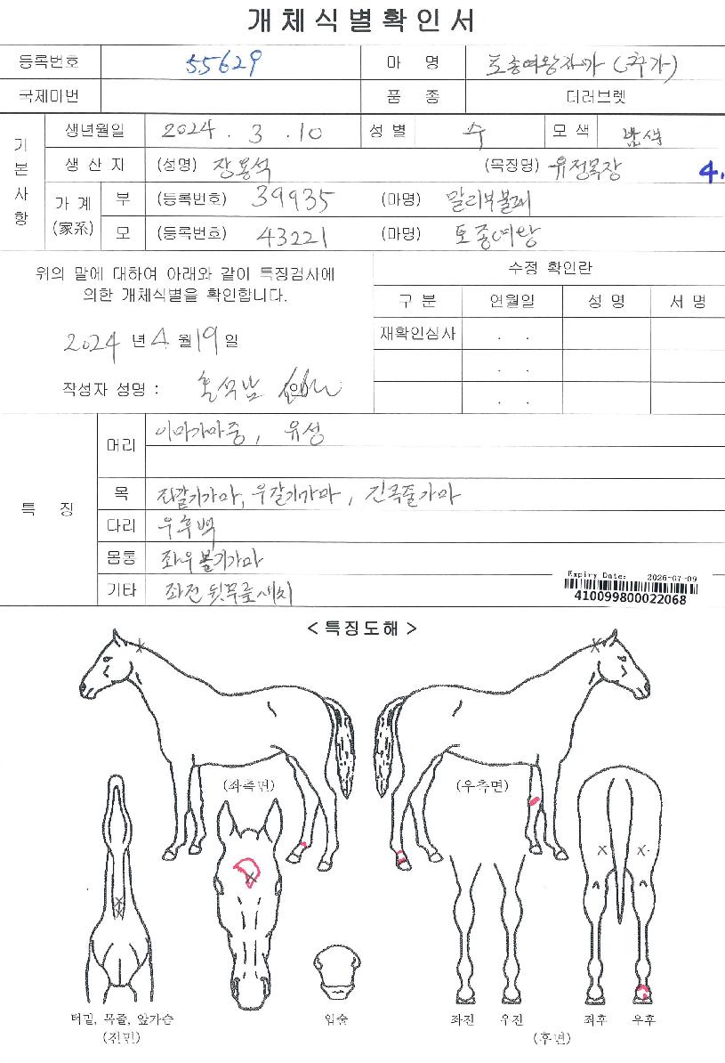 ÅäÁ¾¿©¿ÕÀÚ¸¶ÀÇ Ãø¸é,¿ì¸é,µÞ¸é,µÎ»ó,´Ù¸®ÀÇ Æ¯Â¡µµÇØ