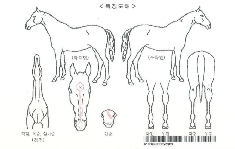 ��ġ���ڸ��� ����,���,�޸�,�λ�,�ٸ��� Ư¡����