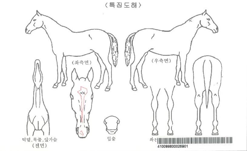 ��Ŭ�����̱��� ����,���,�޸�,�λ�,�ٸ��� Ư¡����