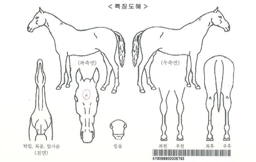 ����������ڸ��� ����,���,�޸�,�λ�,�ٸ��� Ư¡����