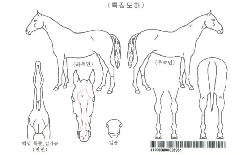 ȭ��Ʈ������ ����,���,�޸�,�λ�,�ٸ��� Ư¡����