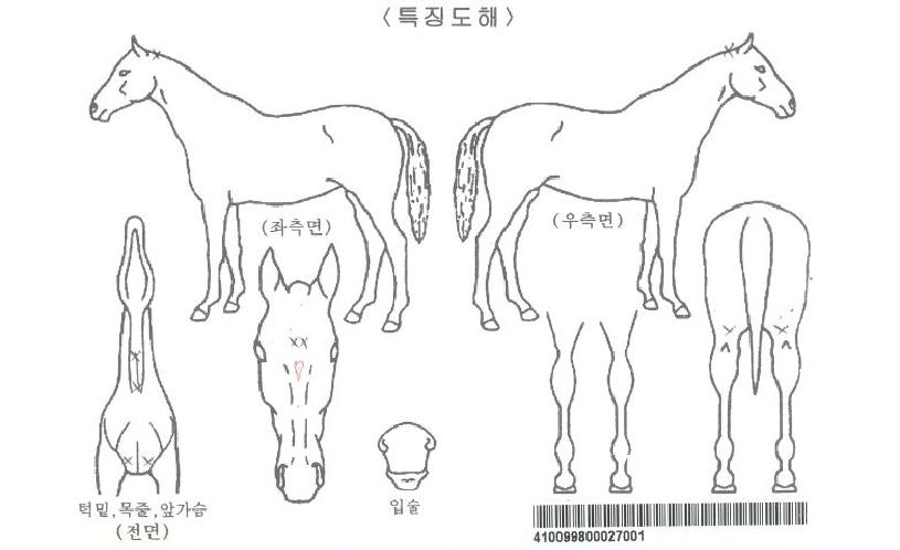 ��ũ�ϵ��� ����,���,�޸�,�λ�,�ٸ��� Ư¡����