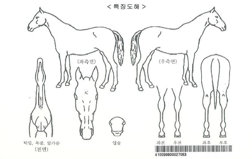 �����ǰ����ڸ��� ����,���,�޸�,�λ�,�ٸ��� Ư¡����