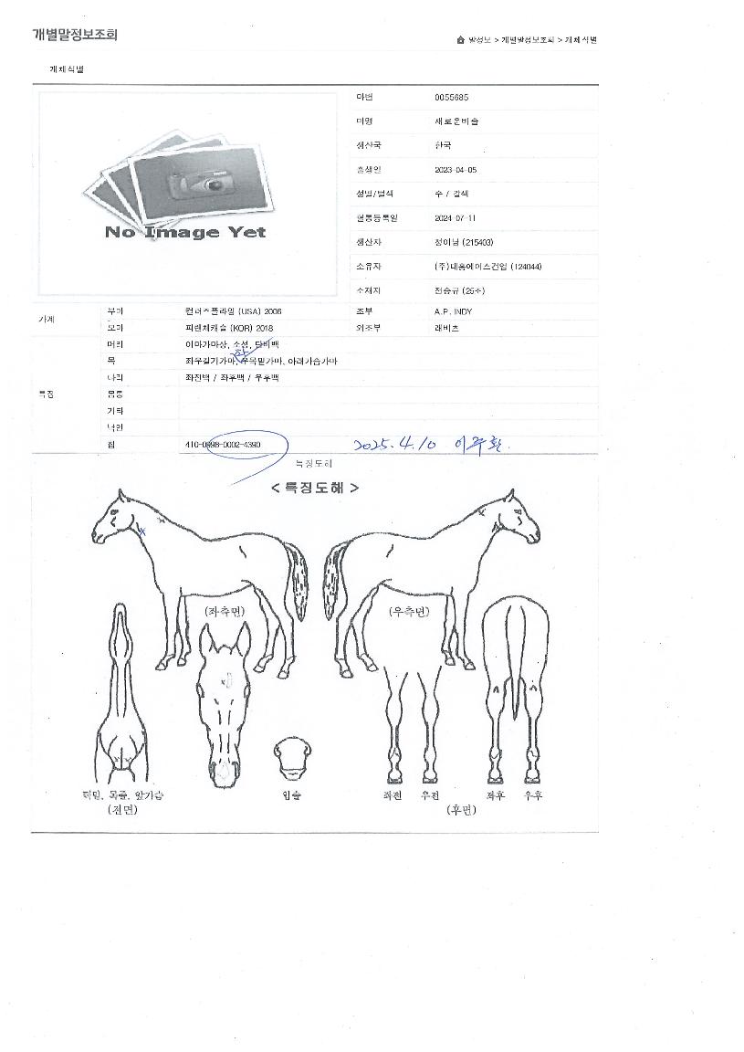»õ·Î¿îºñ¼úÀÇ Ãø¸é,¿ì¸é,µÞ¸é,µÎ»ó,´Ù¸®ÀÇ Æ¯Â¡µµÇØ