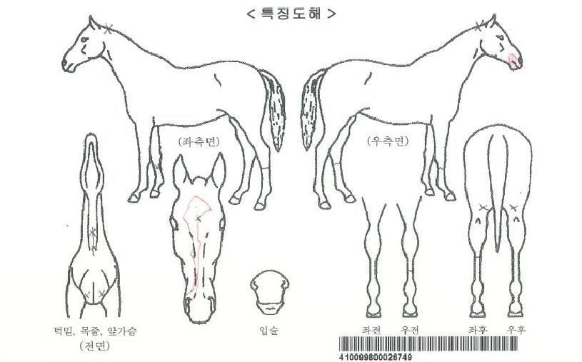 �����Ѽ�Ĺ�� ����,���,�޸�,�λ�,�ٸ��� Ư¡����