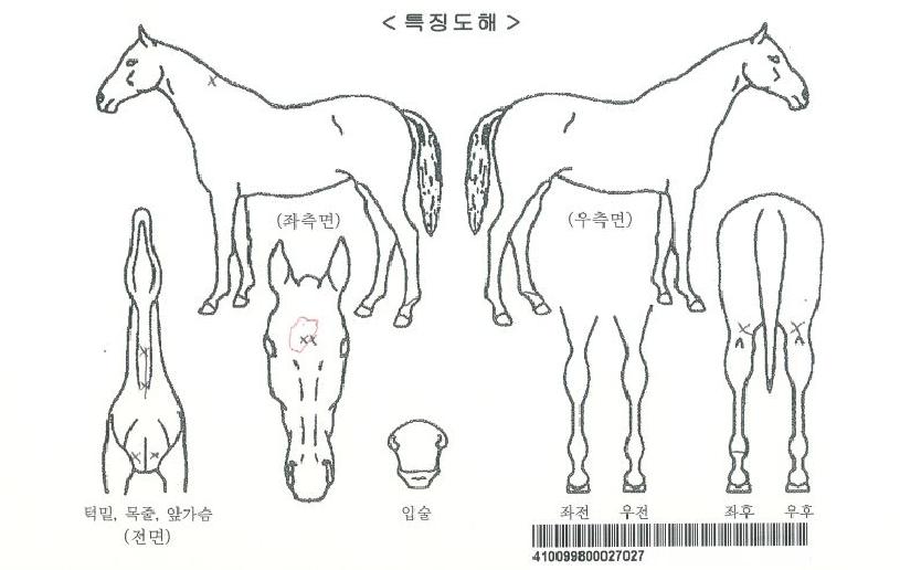 ���������ڸ��� ����,���,�޸�,�λ�,�ٸ��� Ư¡����