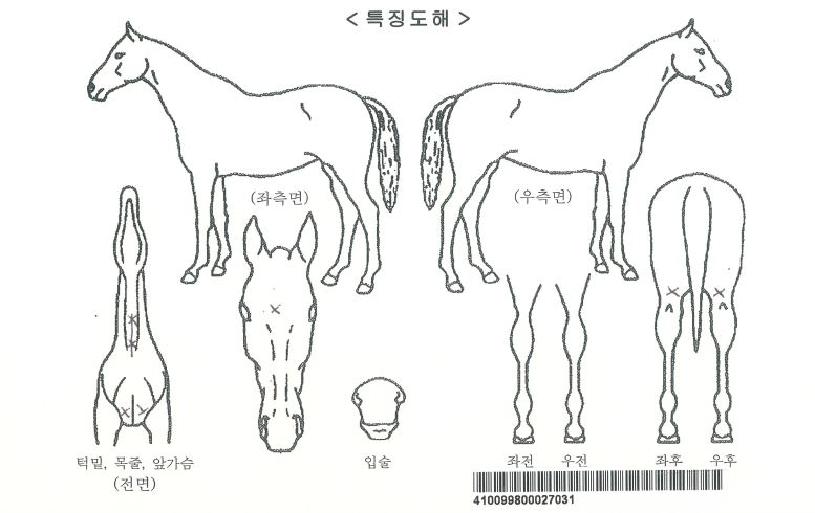 �����������ڸ��� ����,���,�޸�,�λ�,�ٸ��� Ư¡����