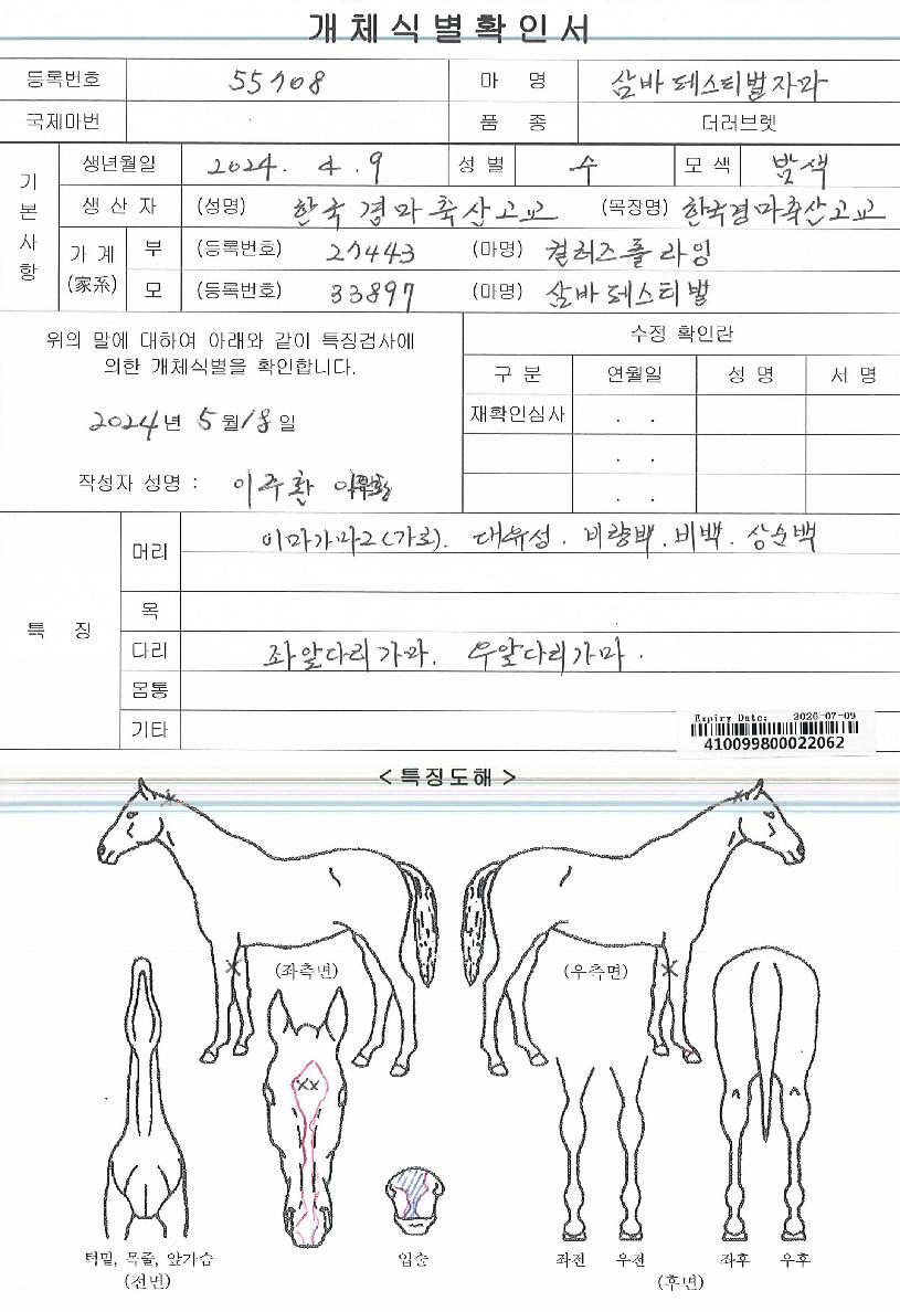 ����佺Ƽ���ڸ��� ����,���,�޸�,�λ�,�ٸ��� Ư¡����