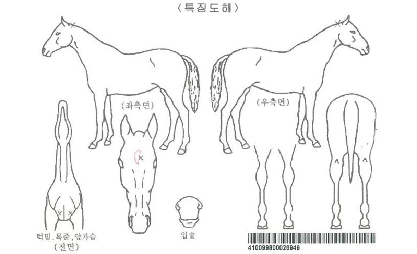 �¹���ڸ��� ����,���,�޸�,�λ�,�ٸ��� Ư¡����