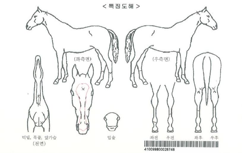 �������̼��� ����,���,�޸�,�λ�,�ٸ��� Ư¡����