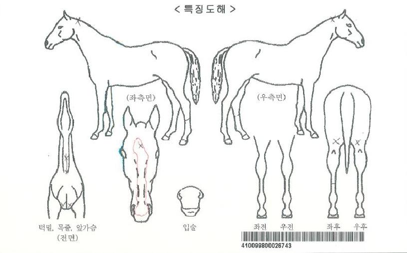 ºí·¢½ÇµåÀÚ¸¶ÀÇ Ãø¸é,¿ì¸é,µÞ¸é,µÎ»ó,´Ù¸®ÀÇ Æ¯Â¡µµÇØ