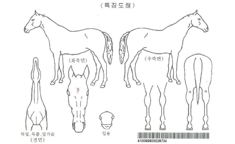 �����ũ�ڸ��� ����,���,�޸�,�λ�,�ٸ��� Ư¡����