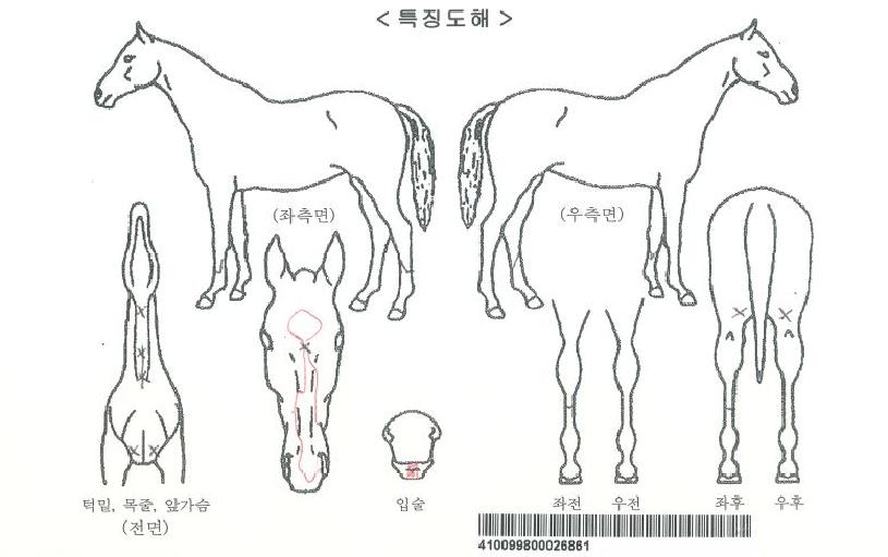 ���̽��ڸ��� ����,���,�޸�,�λ�,�ٸ��� Ư¡����