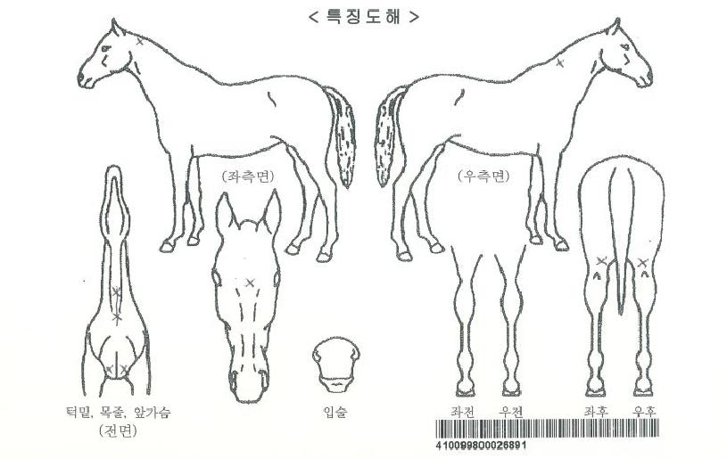 �������ڸ��� ����,���,�޸�,�λ�,�ٸ��� Ư¡����