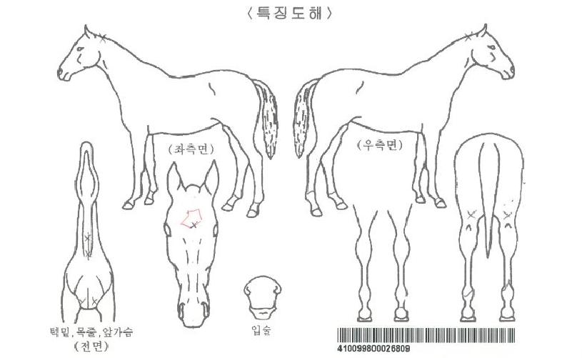 ������������ ����,���,�޸�,�λ�,�ٸ��� Ư¡����