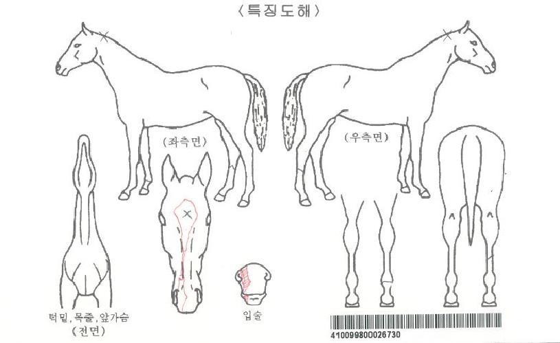 �����������ڸ��� ����,���,�޸�,�λ�,�ٸ��� Ư¡����