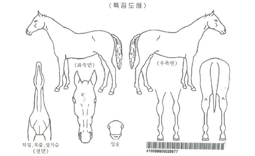 �����ڸ��� ����,���,�޸�,�λ�,�ٸ��� Ư¡����