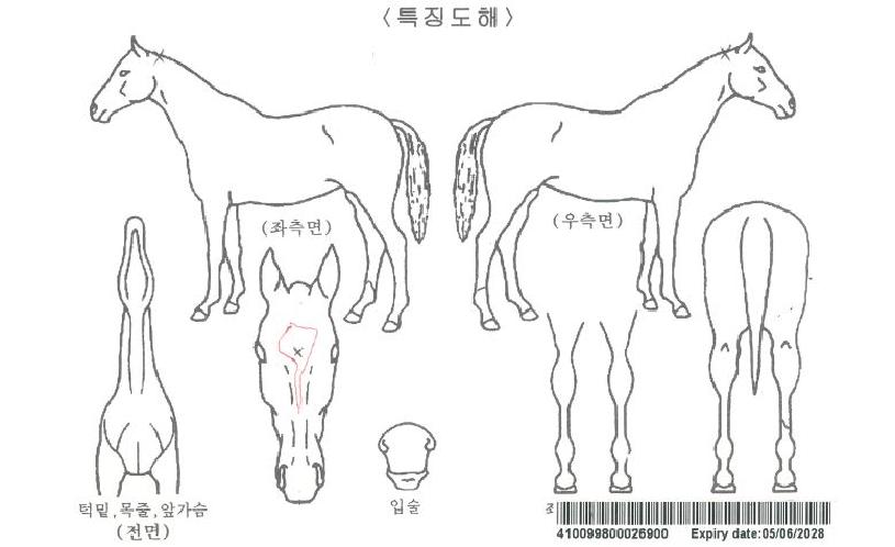 °¡¼ÓÆ®¸®ÇÃÀÚ¸¶ÀÇ Ãø¸é,¿ì¸é,µÞ¸é,µÎ»ó,´Ù¸®ÀÇ Æ¯Â¡µµÇØ