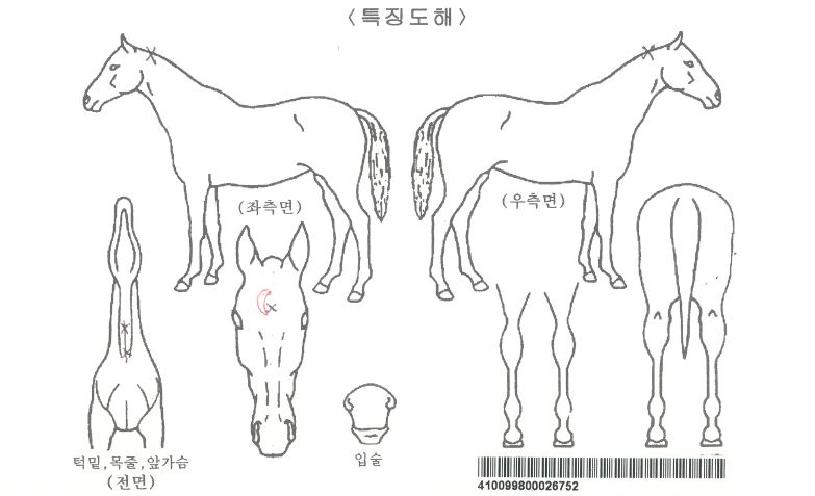 ����¡ȣũ�ڸ��� ����,���,�޸�,�λ�,�ٸ��� Ư¡����