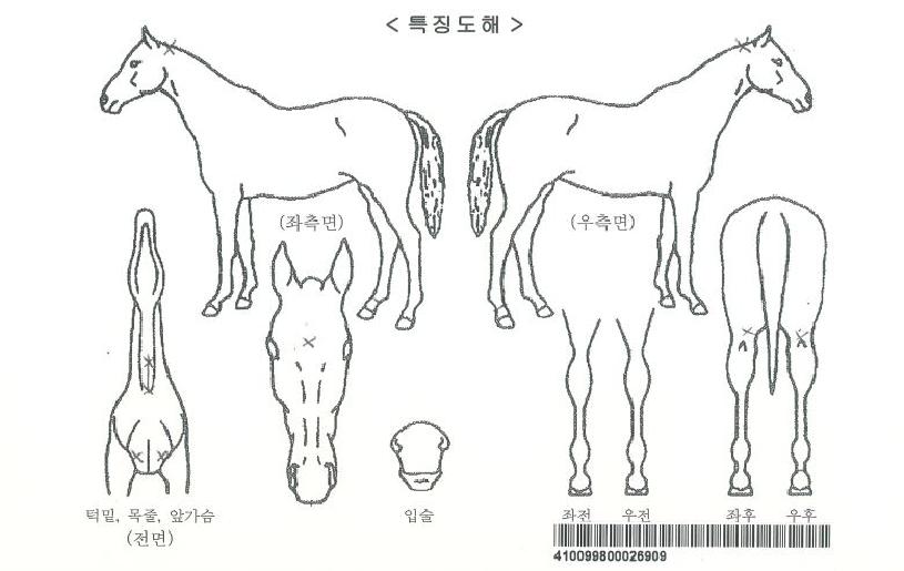 ����õ���ڸ��� ����,���,�޸�,�λ�,�ٸ��� Ư¡����