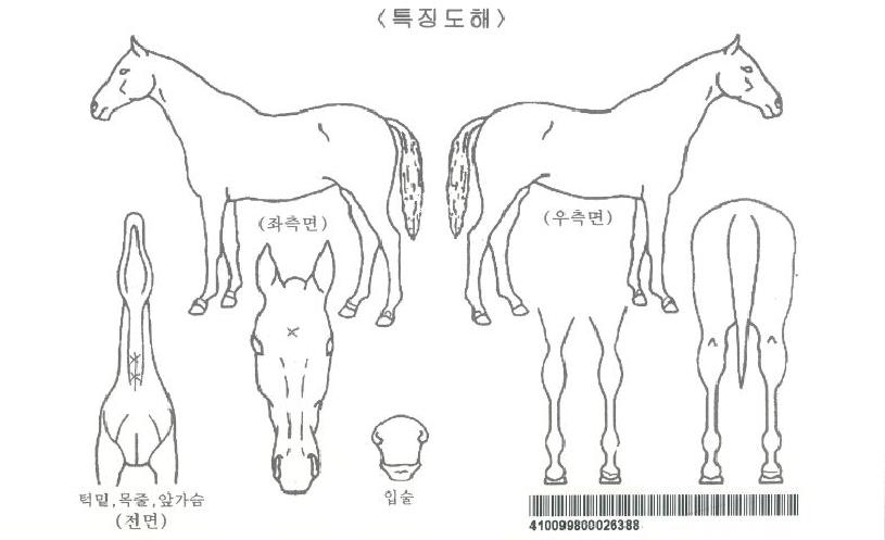 ÆäÀÎÆ®µ©ºí·ç¿þÀÌÀÚ¸¶ÀÇ Ãø¸é,¿ì¸é,µÞ¸é,µÎ»ó,´Ù¸®ÀÇ Æ¯Â¡µµÇØ