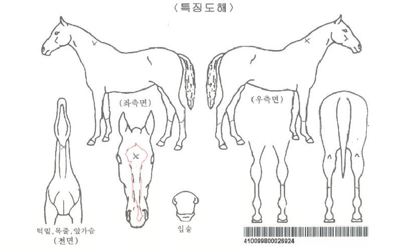 ���۷������ڸ��� ����,���,�޸�,�λ�,�ٸ��� Ư¡����