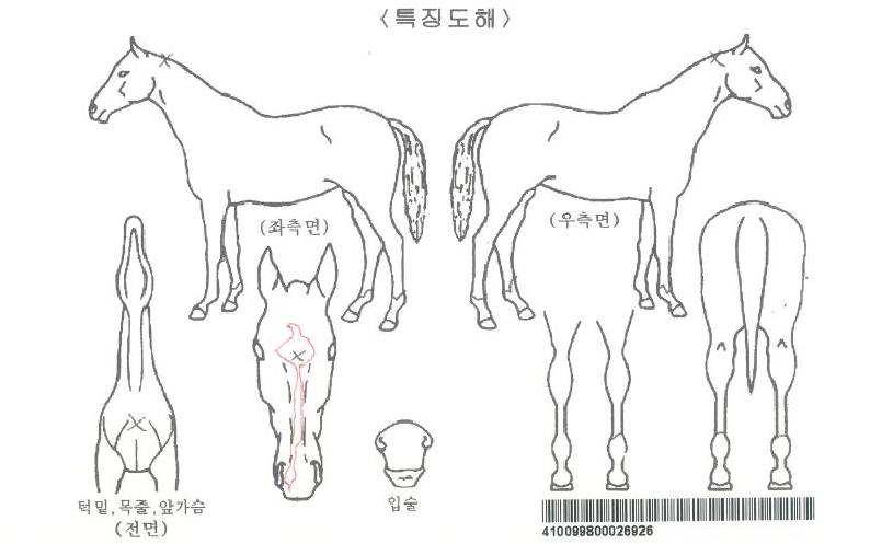 ������ƽ��Ƽ�ڸ��� ����,���,�޸�,�λ�,�ٸ��� Ư¡����