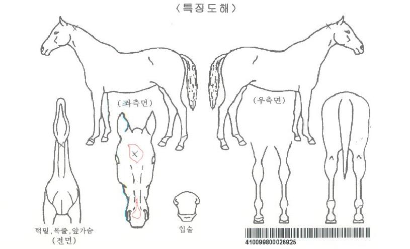 ¿ø´õÇ®·Î¸Ç½ºÀÚ¸¶ÀÇ Ãø¸é,¿ì¸é,µÞ¸é,µÎ»ó,´Ù¸®ÀÇ Æ¯Â¡µµÇØ