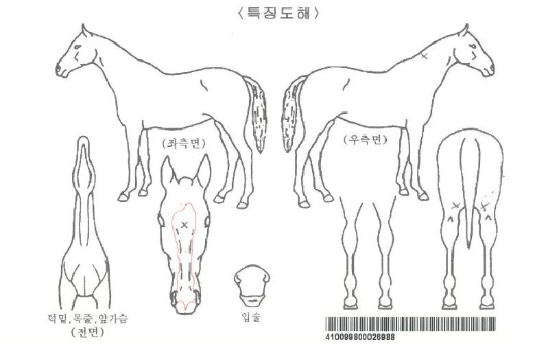 �������ڸ��� ����,���,�޸�,�λ�,�ٸ��� Ư¡����