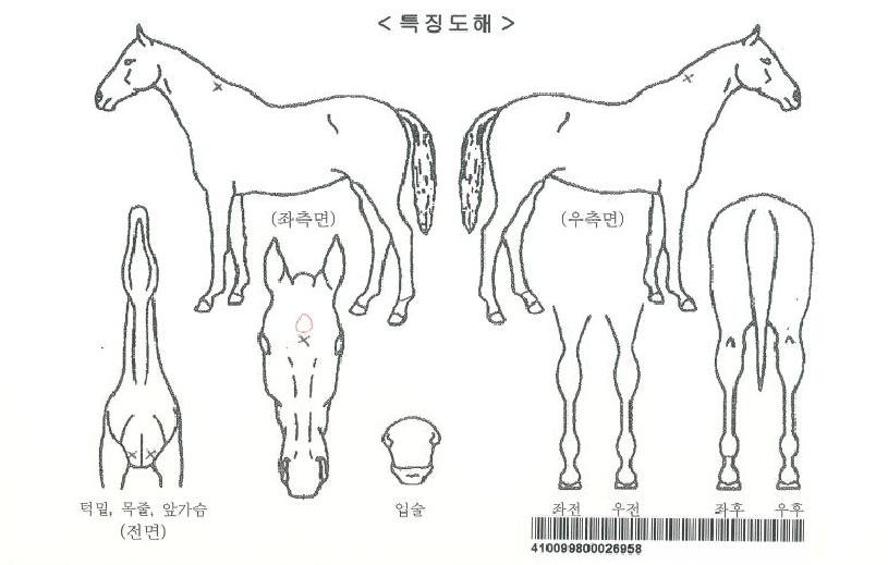 �������ڸ��� ����,���,�޸�,�λ�,�ٸ��� Ư¡����