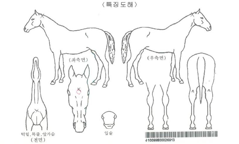 ��Ʈ����ڸ��� ����,���,�޸�,�λ�,�ٸ��� Ư¡����