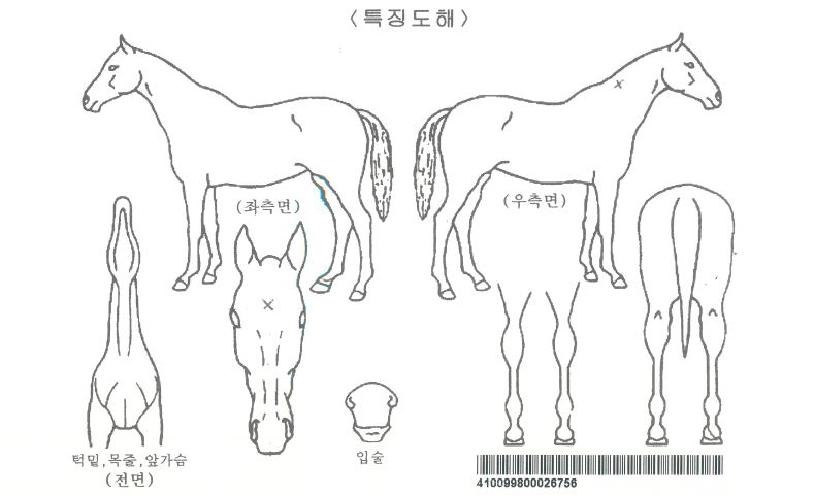 �������ڸ��� ����,���,�޸�,�λ�,�ٸ��� Ư¡����