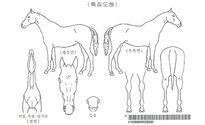 ����Ʈ��ũ�ڸ��� ����,���,�޸�,�λ�,�ٸ��� Ư¡����