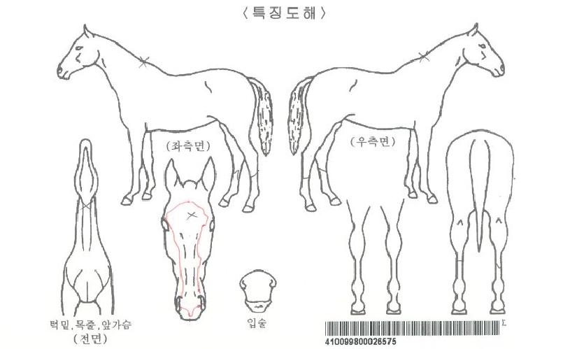 �޸����ڸ��� ����,���,�޸�,�λ�,�ٸ��� Ư¡����