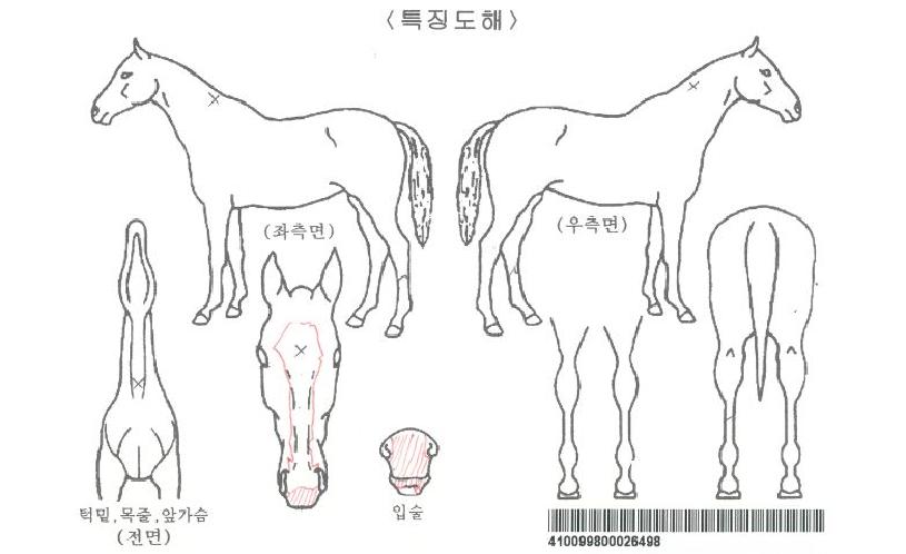 ��Ʈ�ڵ��ڸ��� ����,���,�޸�,�λ�,�ٸ��� Ư¡����