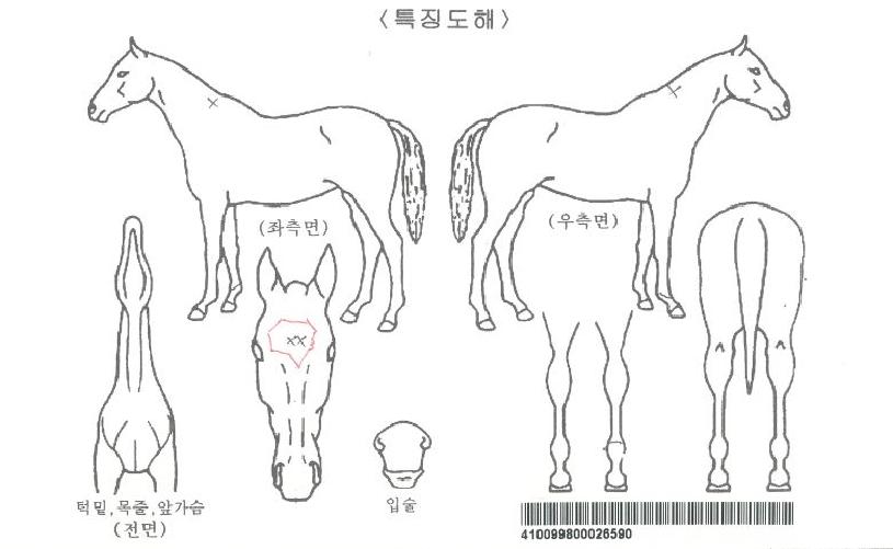 ���ȯ���ڸ��� ����,���,�޸�,�λ�,�ٸ��� Ư¡����