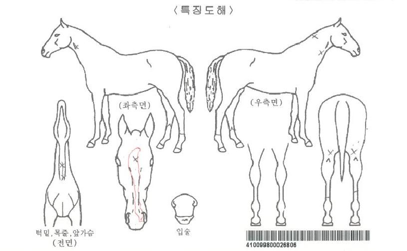 �ɾ������ڸ��� ����,���,�޸�,�λ�,�ٸ��� Ư¡����