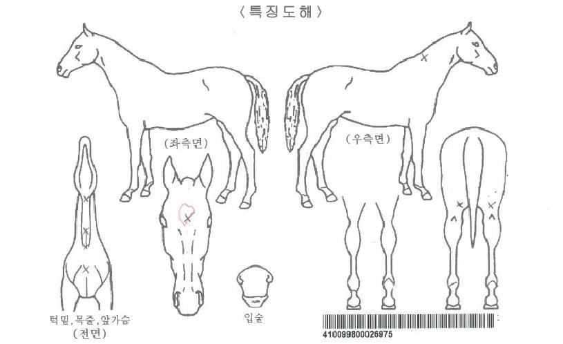 ���۸����� ����,���,�޸�,�λ�,�ٸ��� Ư¡����