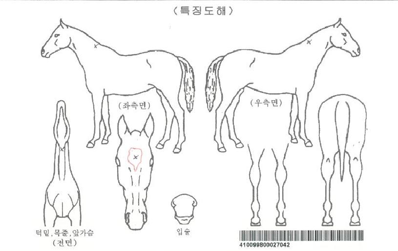 ��������ڸ��� ����,���,�޸�,�λ�,�ٸ��� Ư¡����