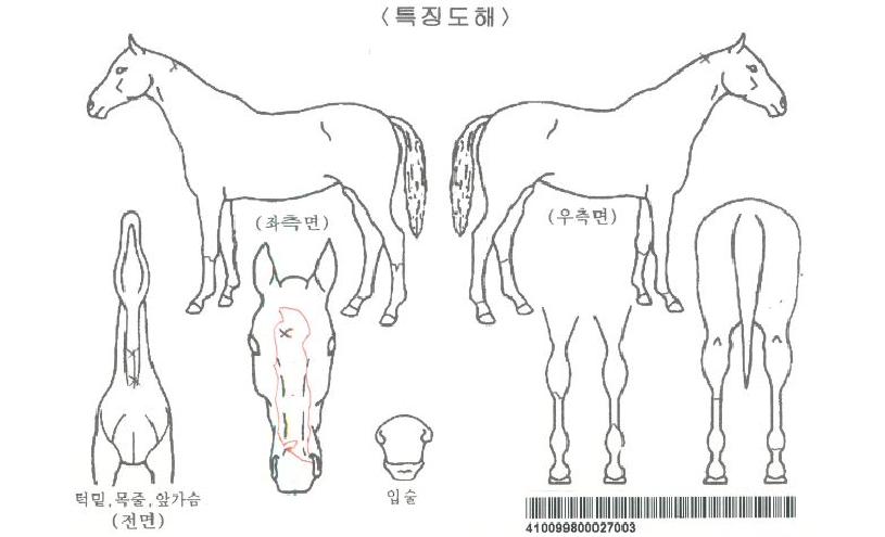 �̱ۻ轺�ڸ��� ����,���,�޸�,�λ�,�ٸ��� Ư¡����