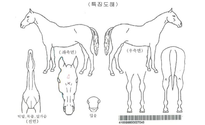 ����Ʈ���ε��ڸ��� ����,���,�޸�,�λ�,�ٸ��� Ư¡����