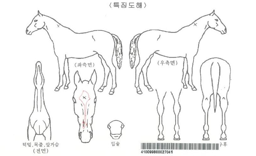 ���̽������ڸ��� ����,���,�޸�,�λ�,�ٸ��� Ư¡����