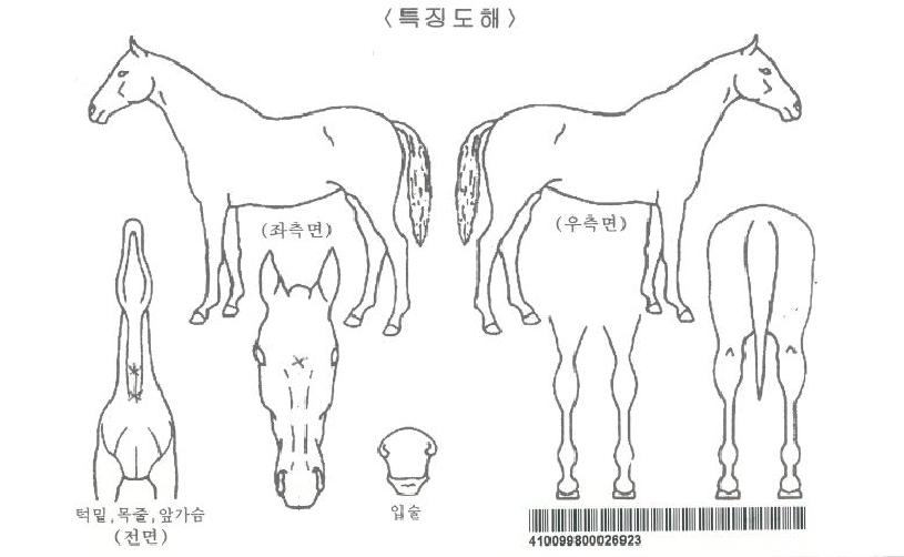 �����̵�ҳ��ڸ��� ����,���,�޸�,�λ�,�ٸ��� Ư¡����