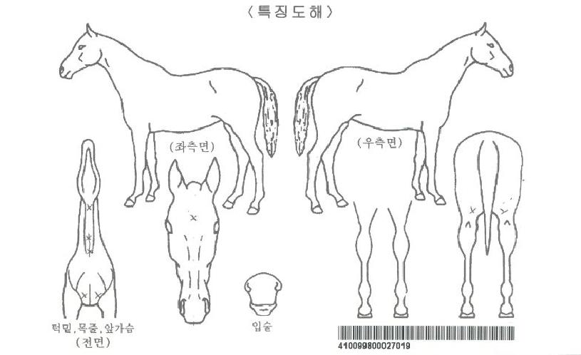 ±×·£µåȯȣÀÚ¸¶ÀÇ Ãø¸é,¿ì¸é,µÞ¸é,µÎ»ó,´Ù¸®ÀÇ Æ¯Â¡µµÇØ
