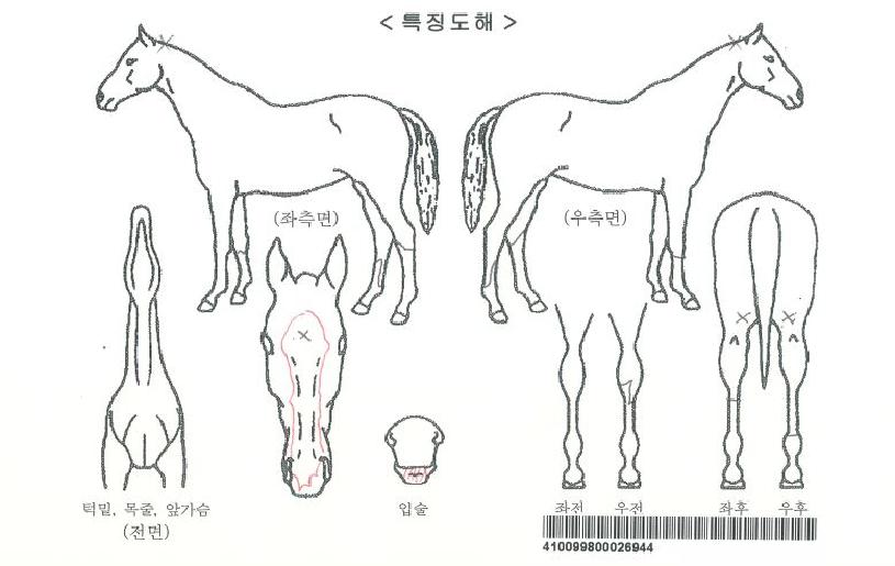 ½ÃÅ©¸®Æ¼ºê·¹À̵ðÀÚ¸¶ÀÇ Ãø¸é,¿ì¸é,µÞ¸é,µÎ»ó,´Ù¸®ÀÇ Æ¯Â¡µµÇØ