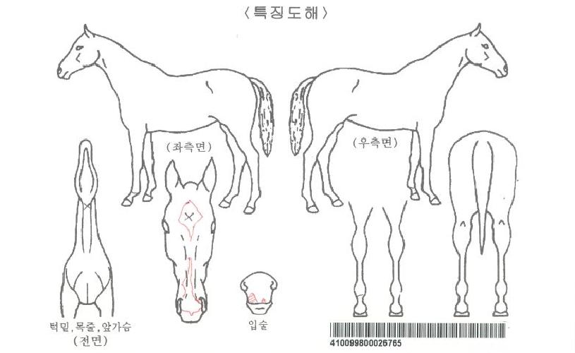 ���ǵ�������ڸ��� ����,���,�޸�,�λ�,�ٸ��� Ư¡����